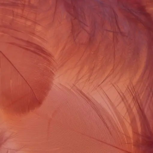 Vaginisme – Claudine Decaux, sexologue à Marseille